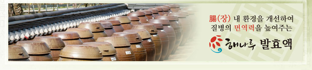 腸(장) 내 환경을 개선하여 질병의 면역력을 높여주는 해나루 발효액